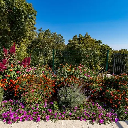 Teza, Amazing View Villa *