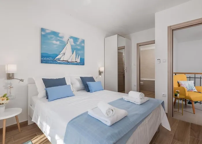 Teza, Amazing View *